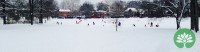 Sledding on Tamm Ave in Francis Park March 1, 2015
