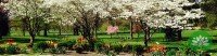 Tamm and Nottingham corner spring 2015